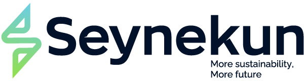 logo-seynekun